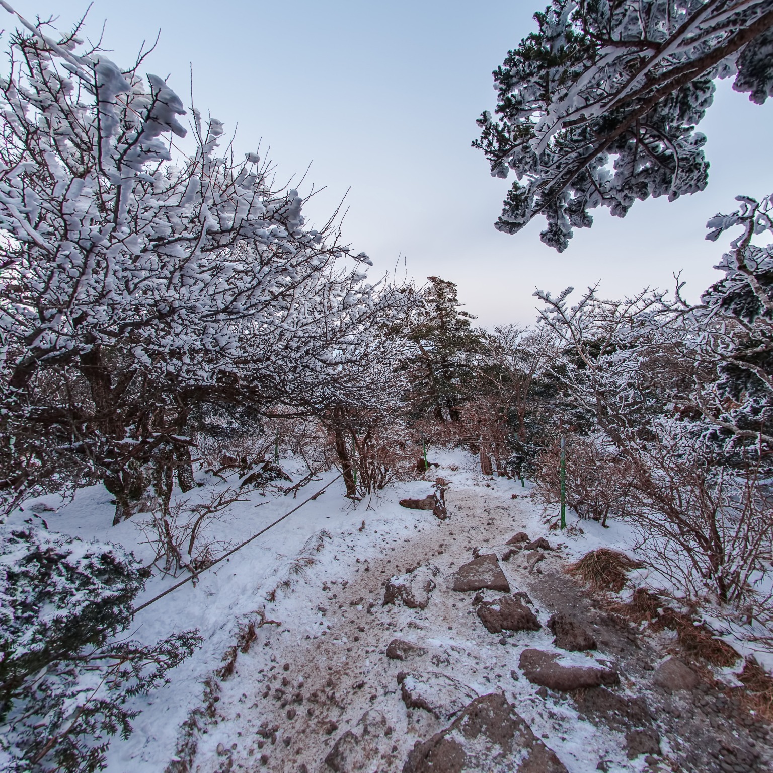 GROUND] 한라산 영실기암_003