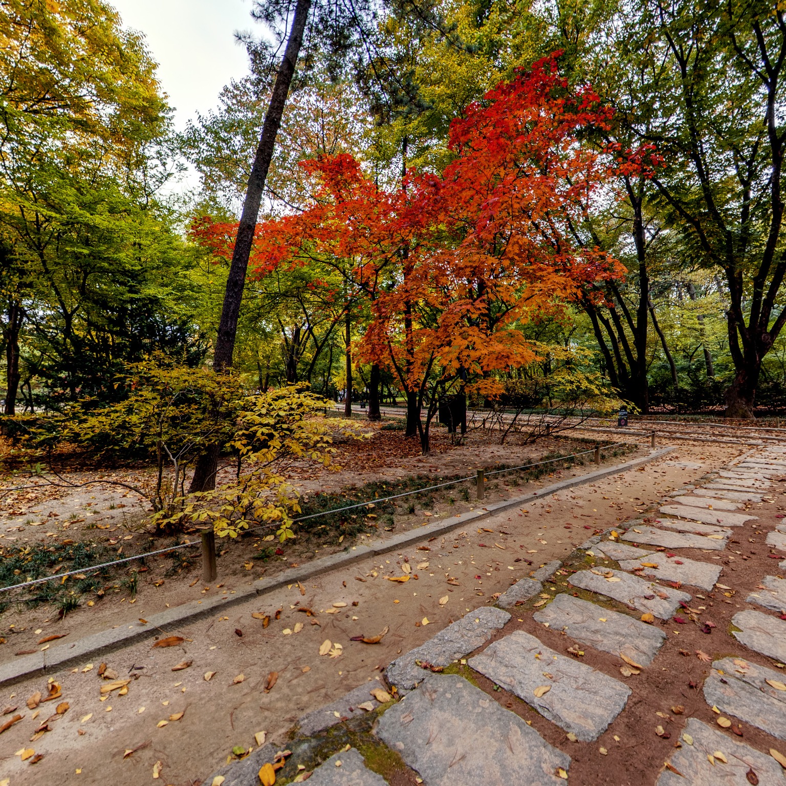 GROUND] 종묘 삼거리지나서 단풍길
