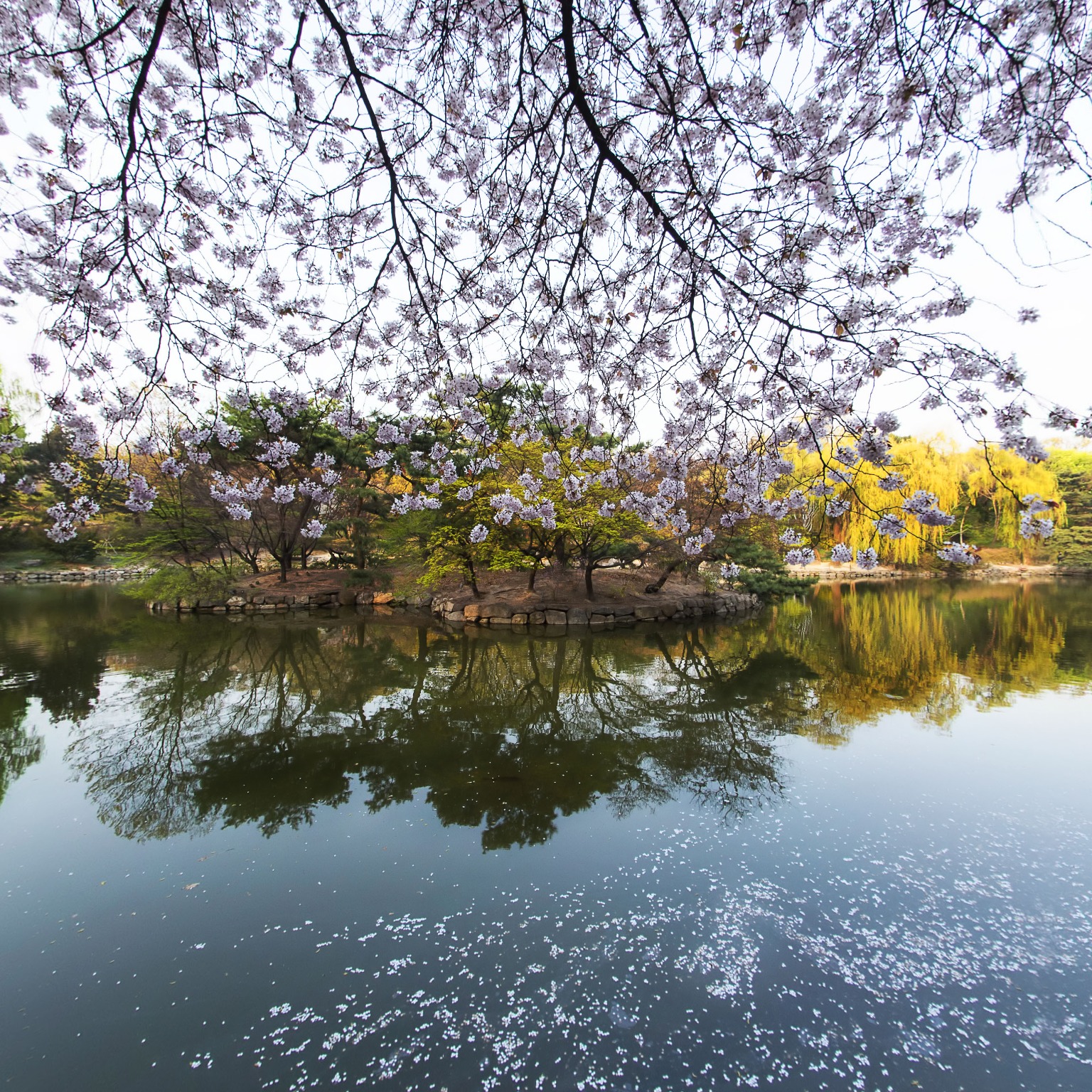 GROUND] 창경궁 춘당지