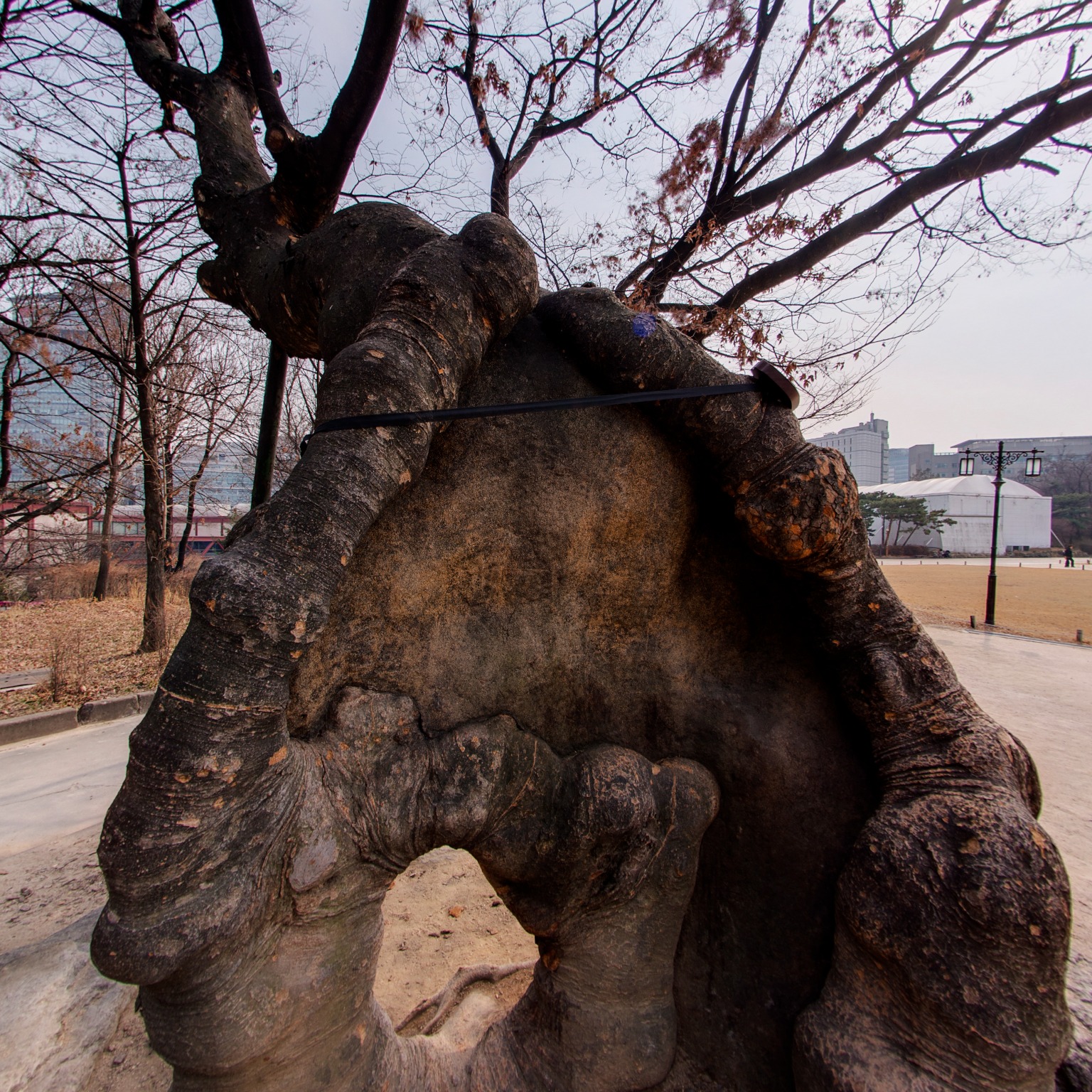 GROUND] 경희궁지