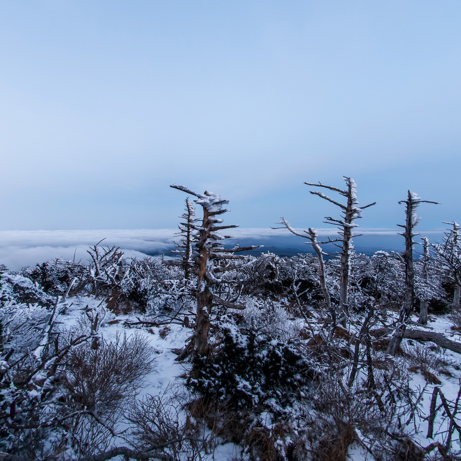 GROUND] 한라산 영실기암_001