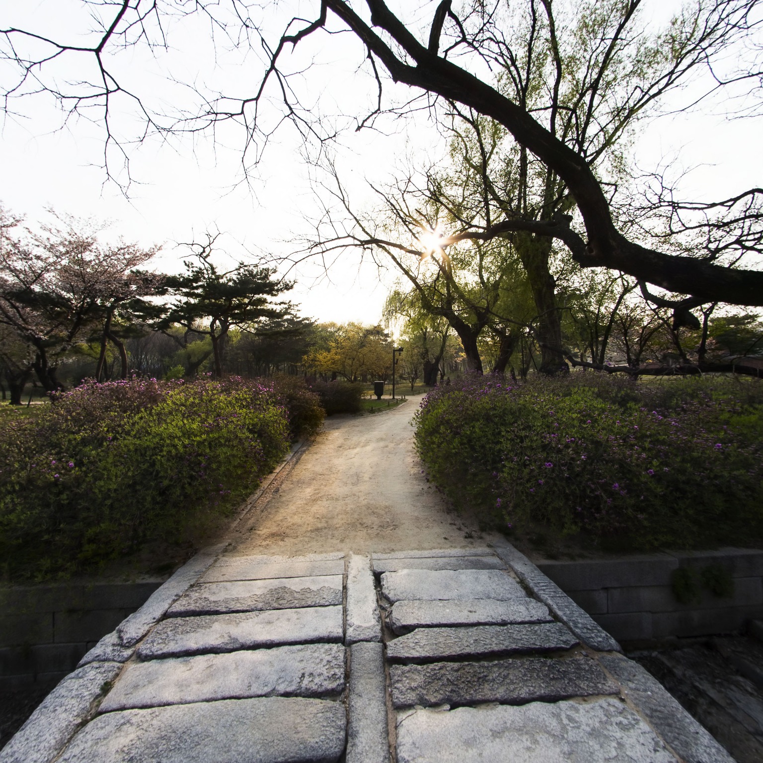GROUND] 창경궁 궐내각사터