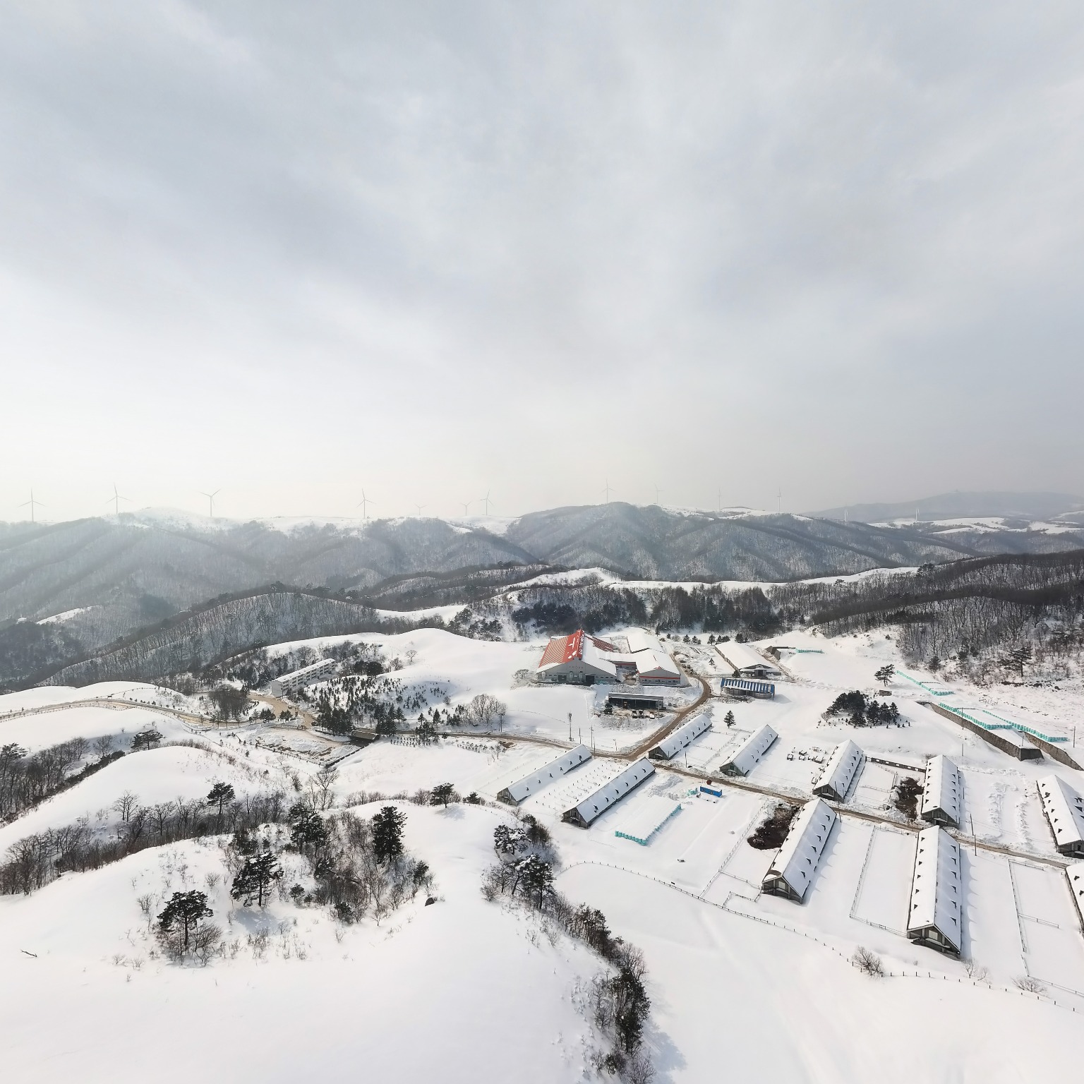 SKY] 대관령목장01