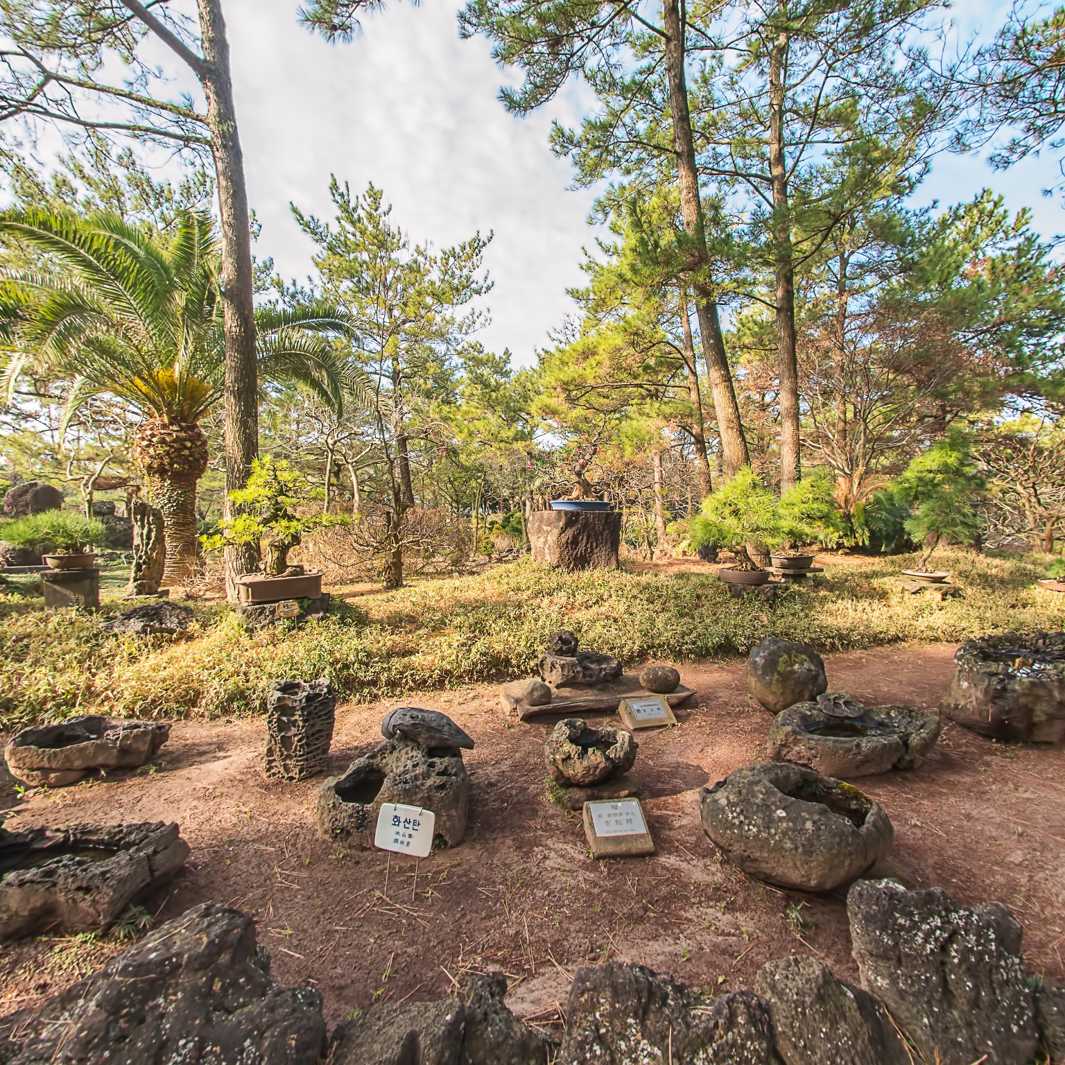 GROUND] 한림공원 석분재원 003