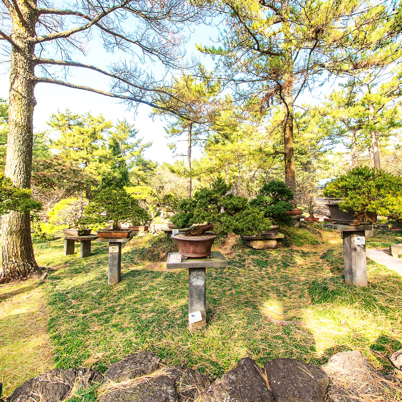 GROUND] 한림공원 석분재원 009