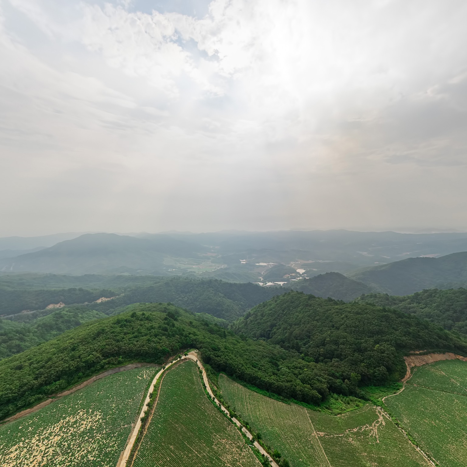 SKY] 안반덕