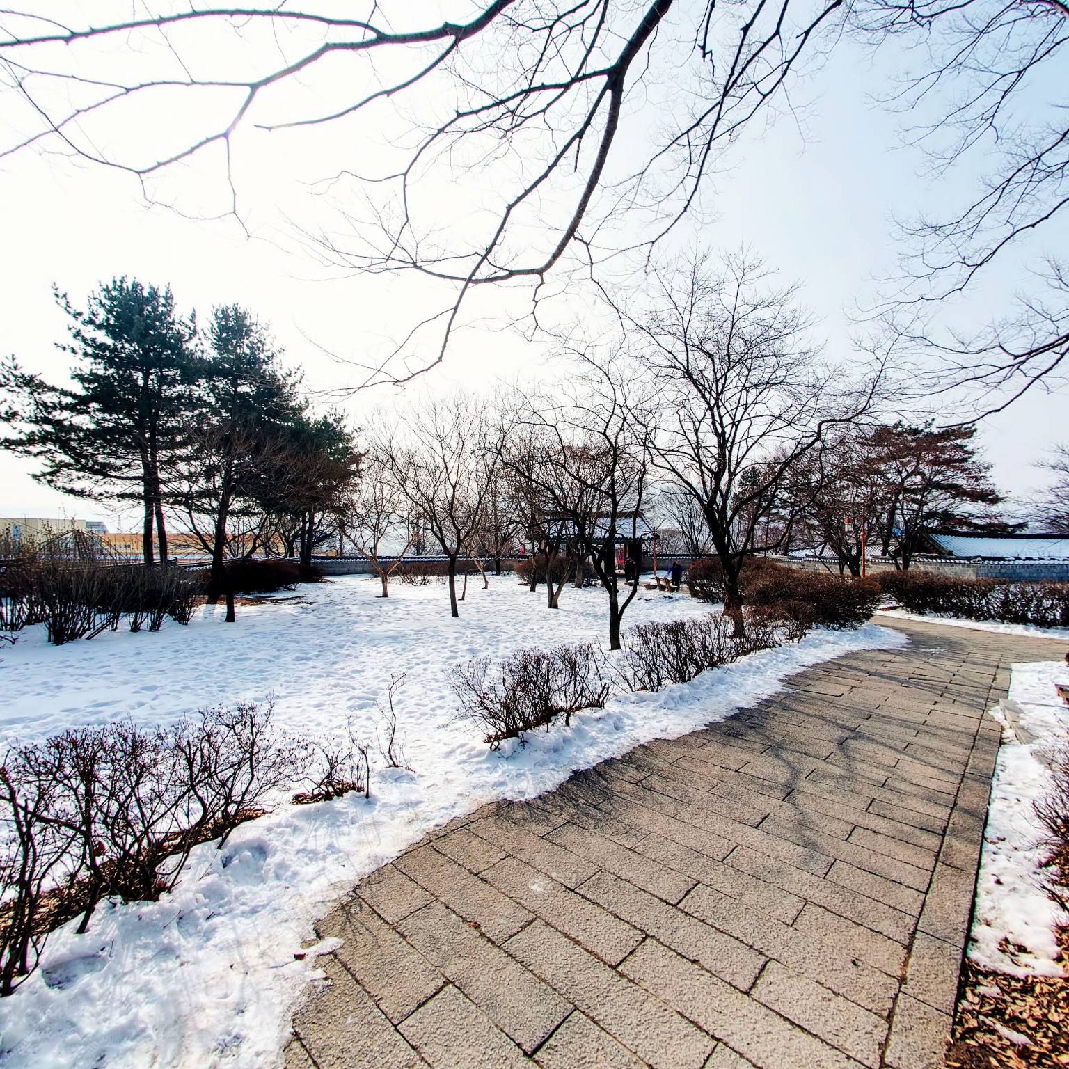GROUND] 고려궁지 내부01