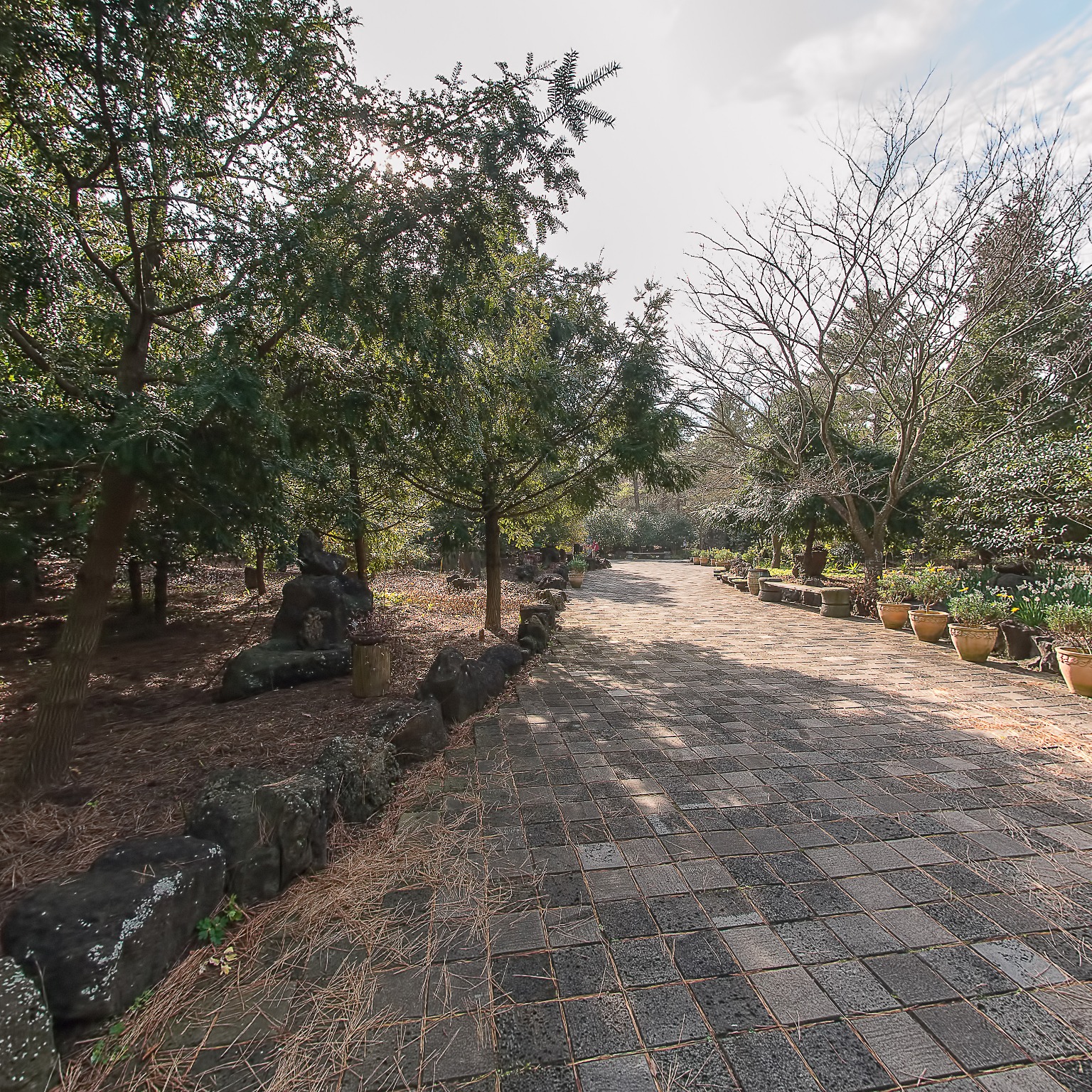 GROUND] 한림공원 산야초원 009