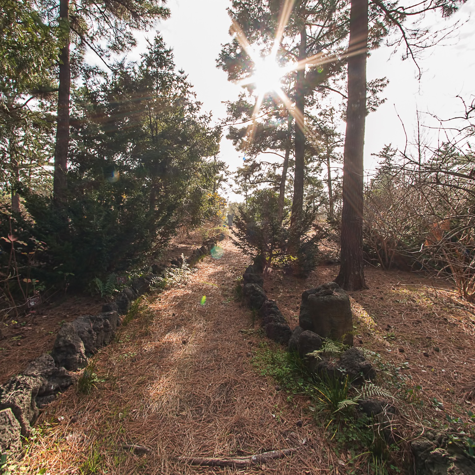 GROUND] 한림공원 산야초원 005