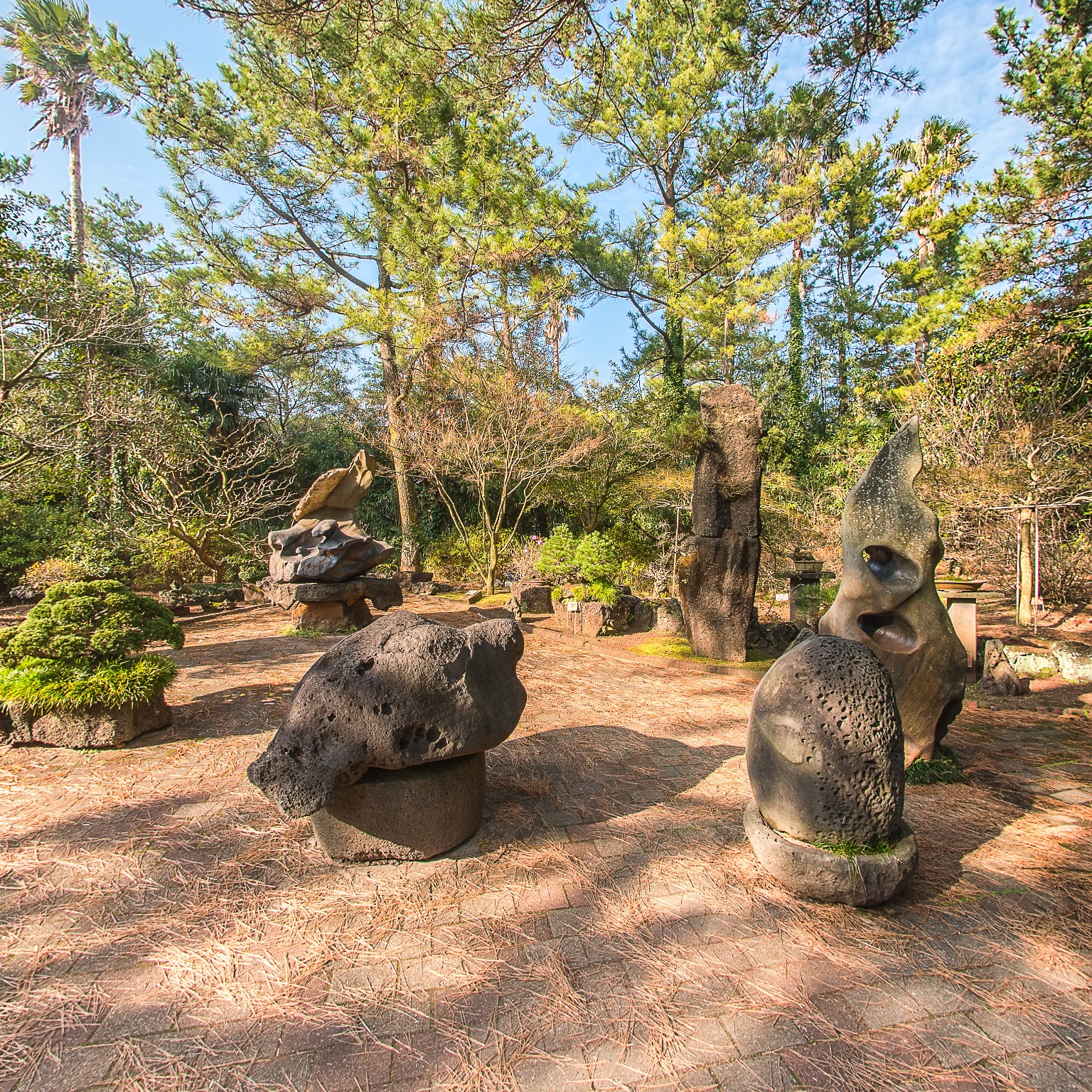 GROUND] 한림공원 석분재원 007