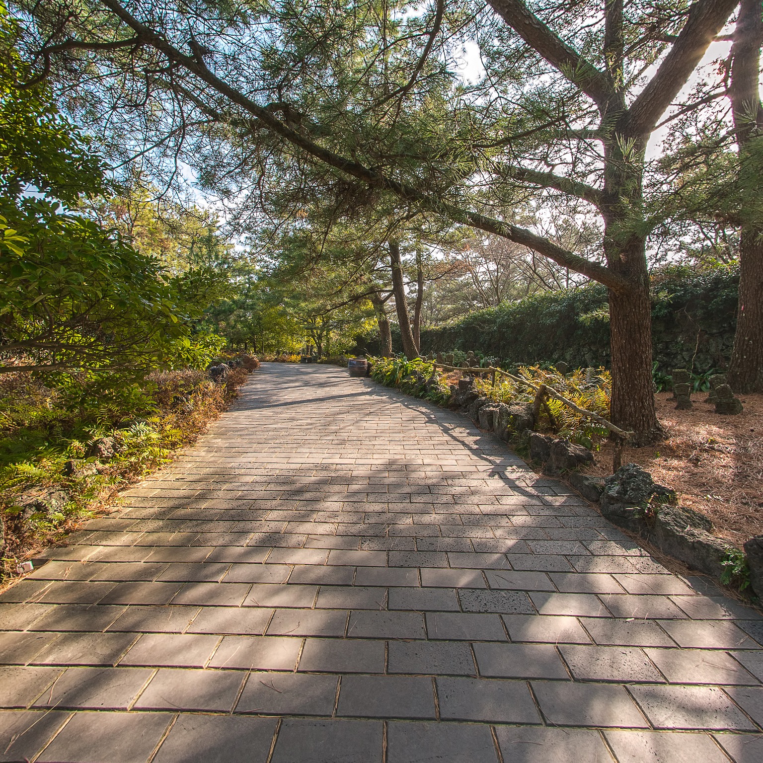 GROUND] 협재굴 쌍용굴 황금굴 008