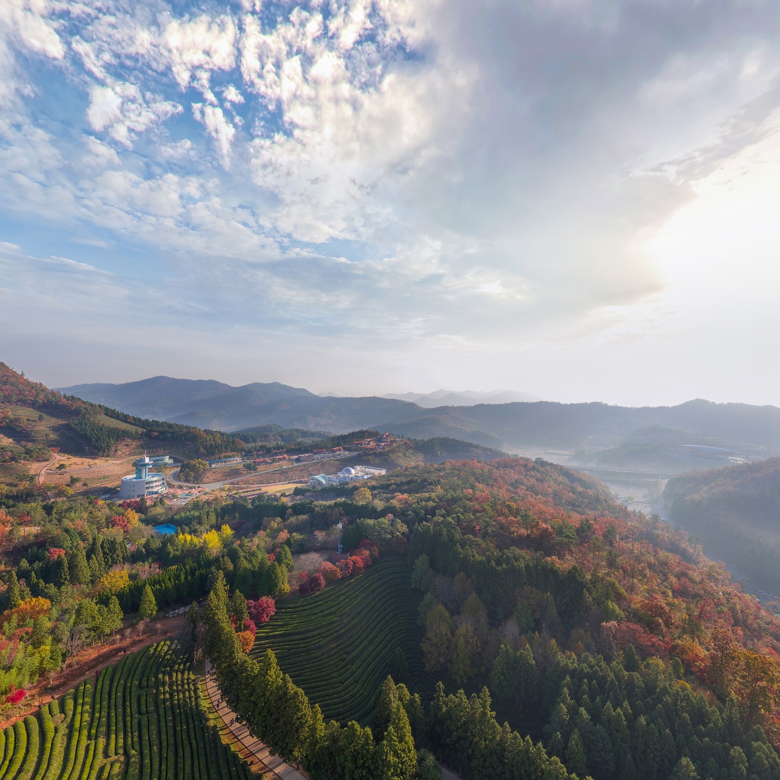 SKY] 보성녹차밭