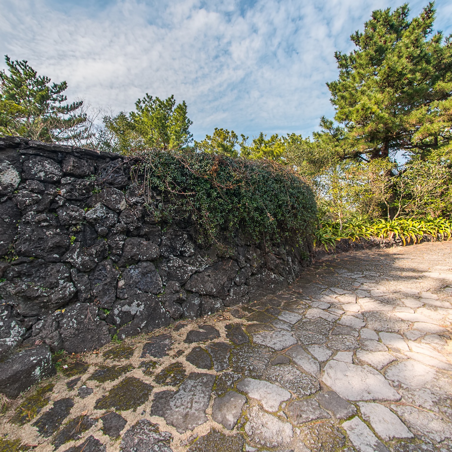 GROUND] 협재굴 쌍용굴 황금굴 021