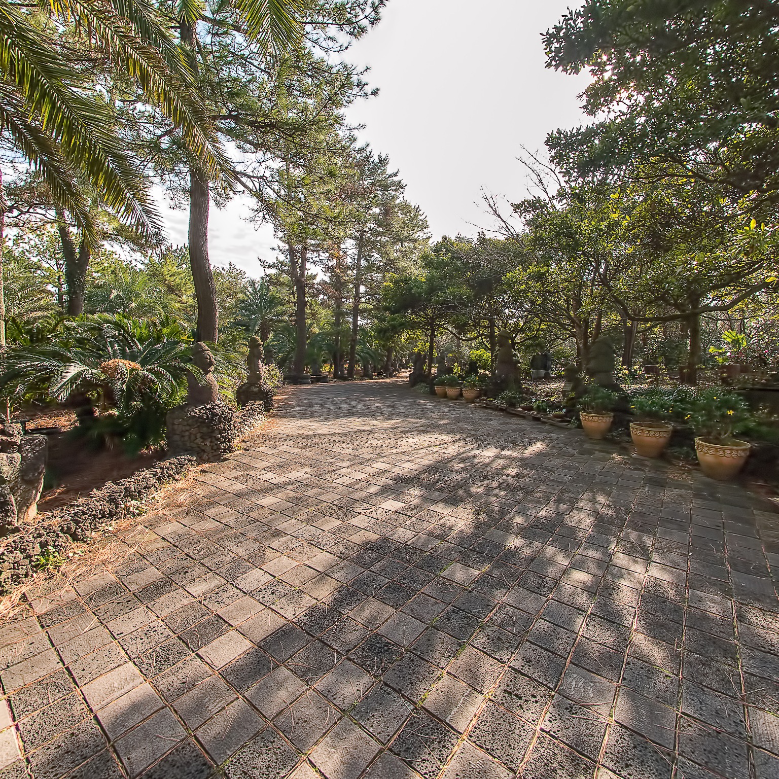 GROUND] 한림공원 산야초원 007