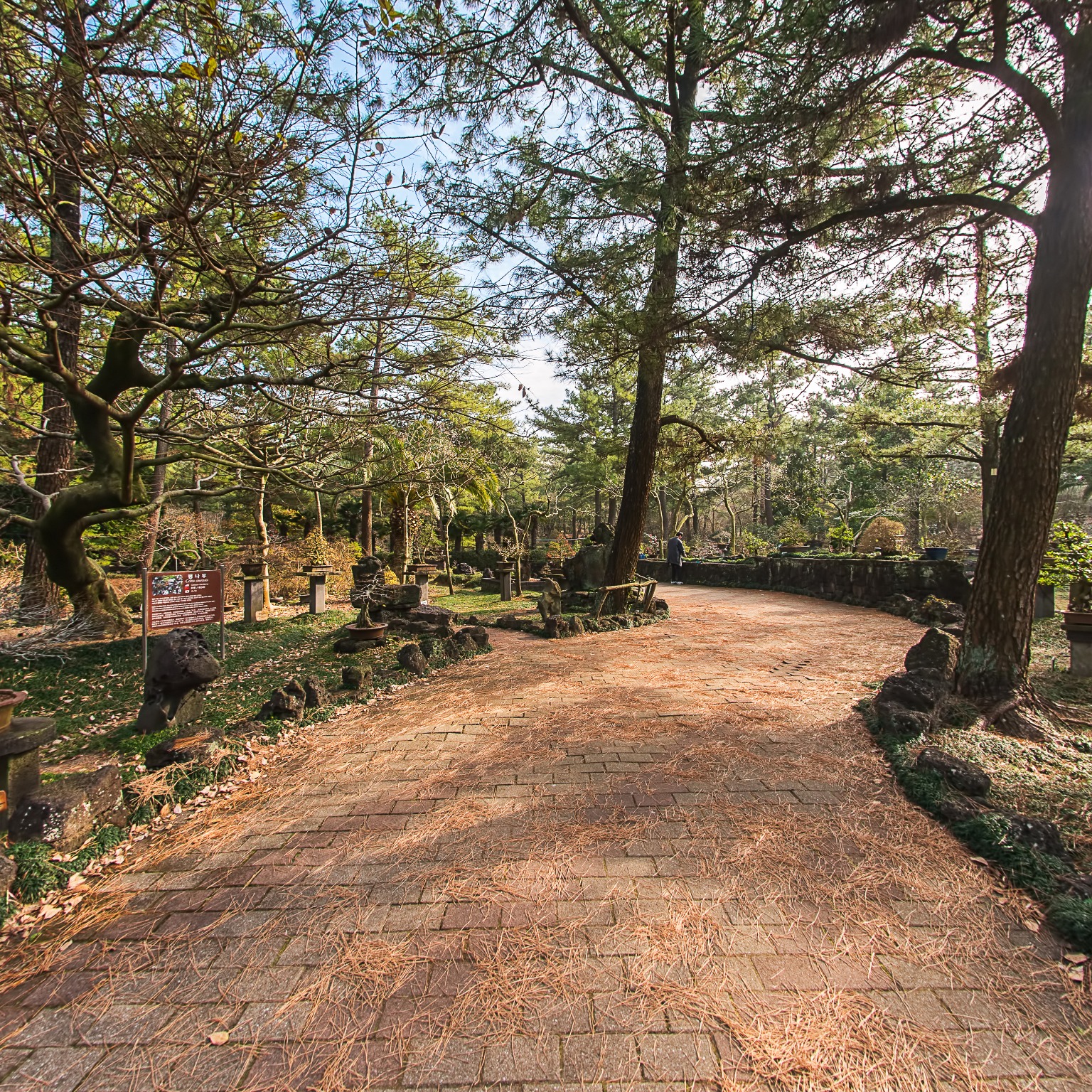 GROUND] 한림공원 석분재원 002