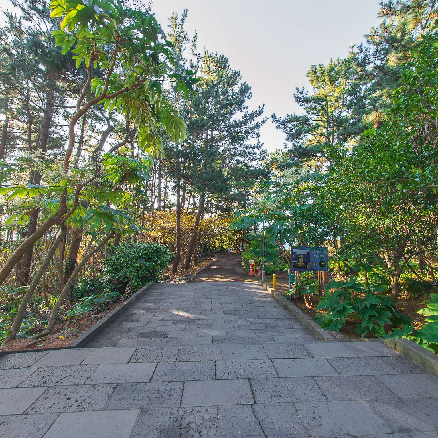 GROUND] 외돌개 002