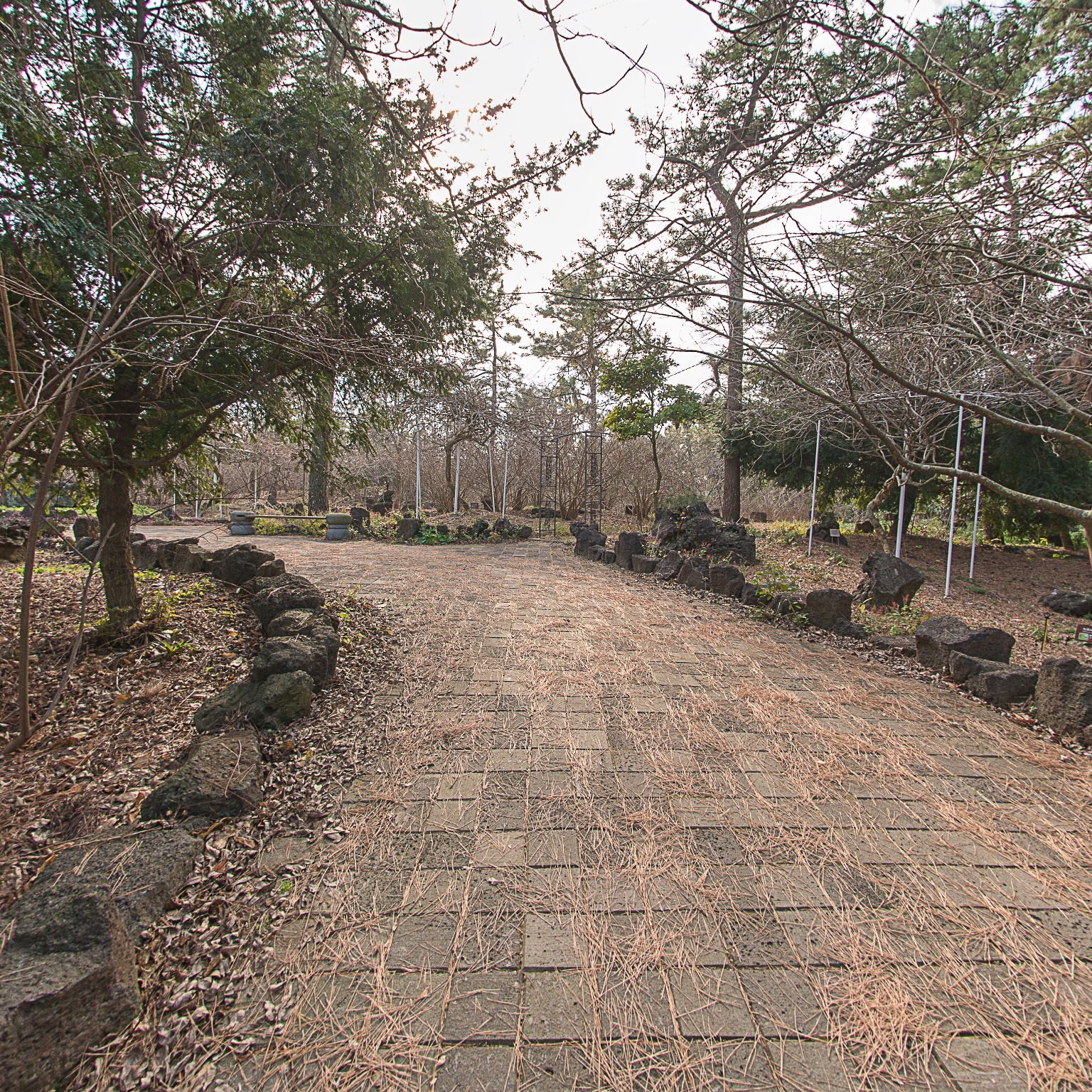 GROUND] 한림공원 산야초원 002