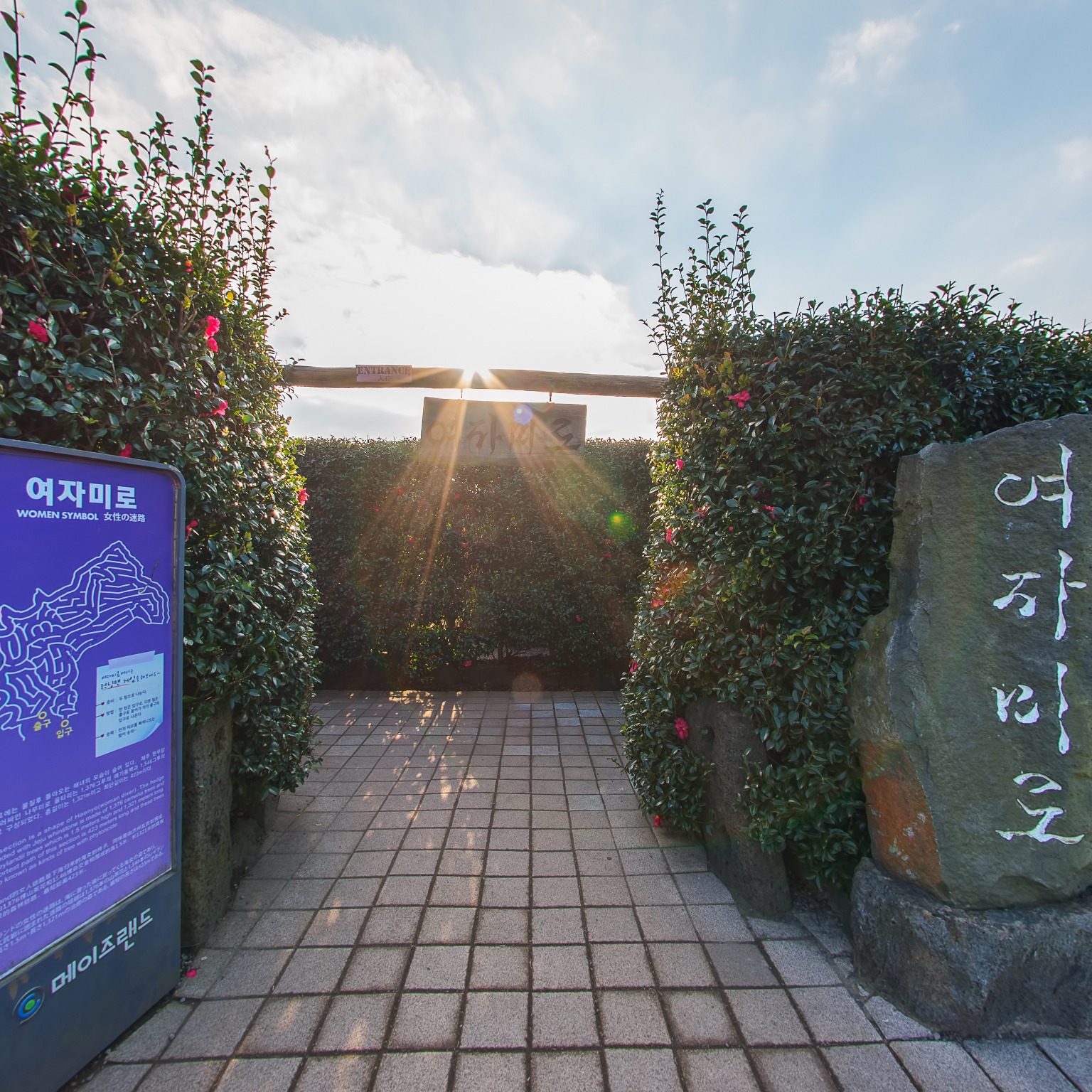 GROUND] 메이즈랜드 007