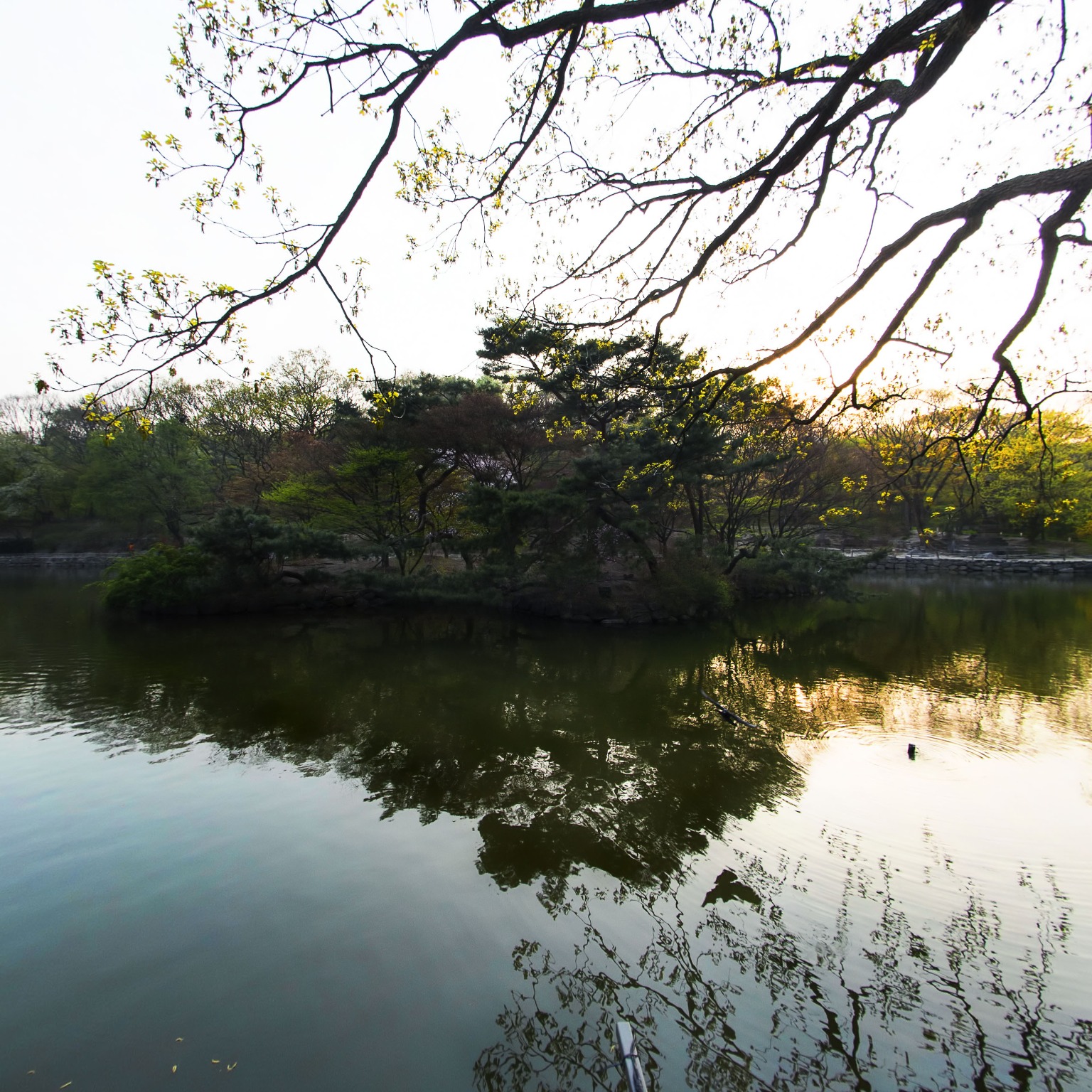 GROUND] 창경궁 춘당지2