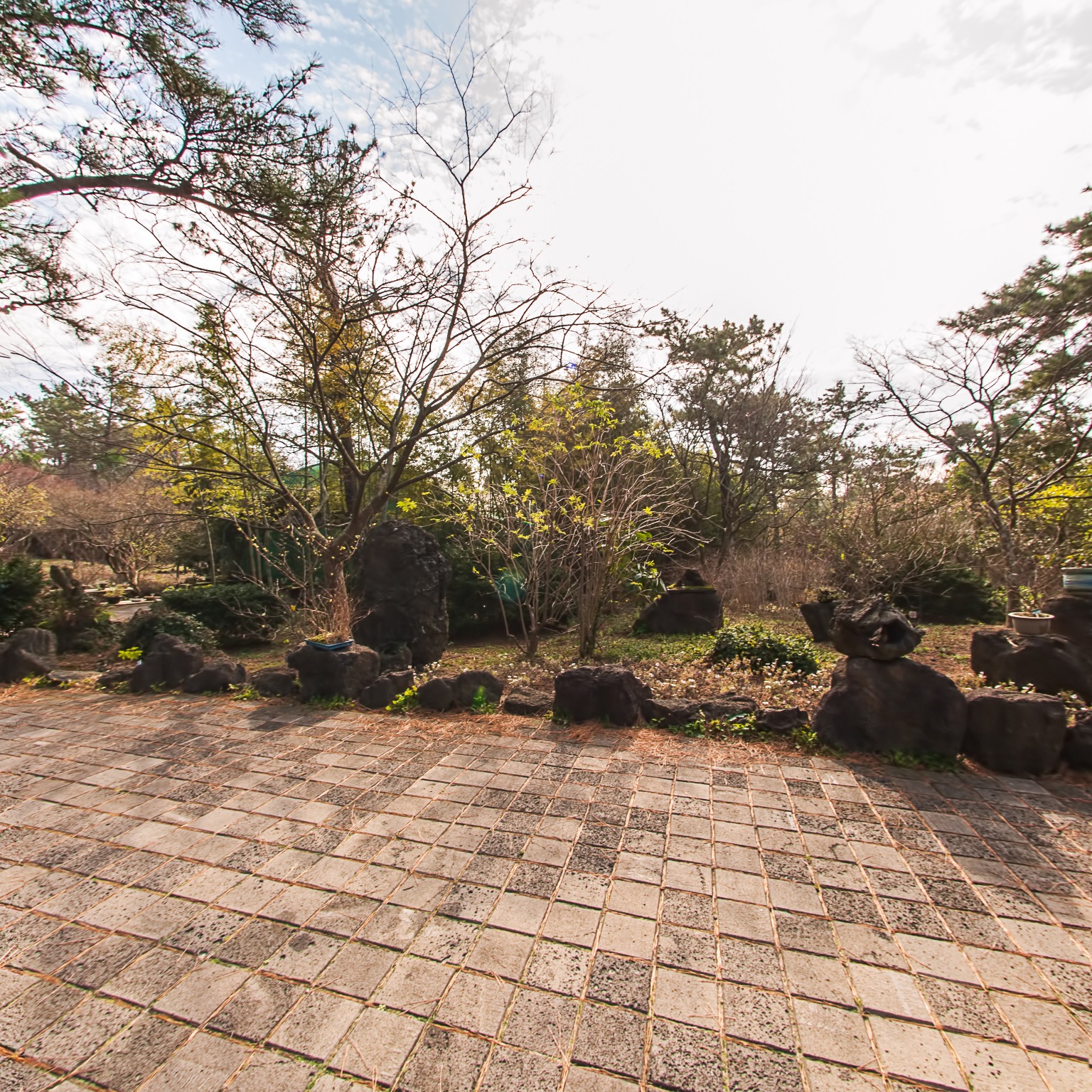 GROUND] 한림공원 산야초원 003