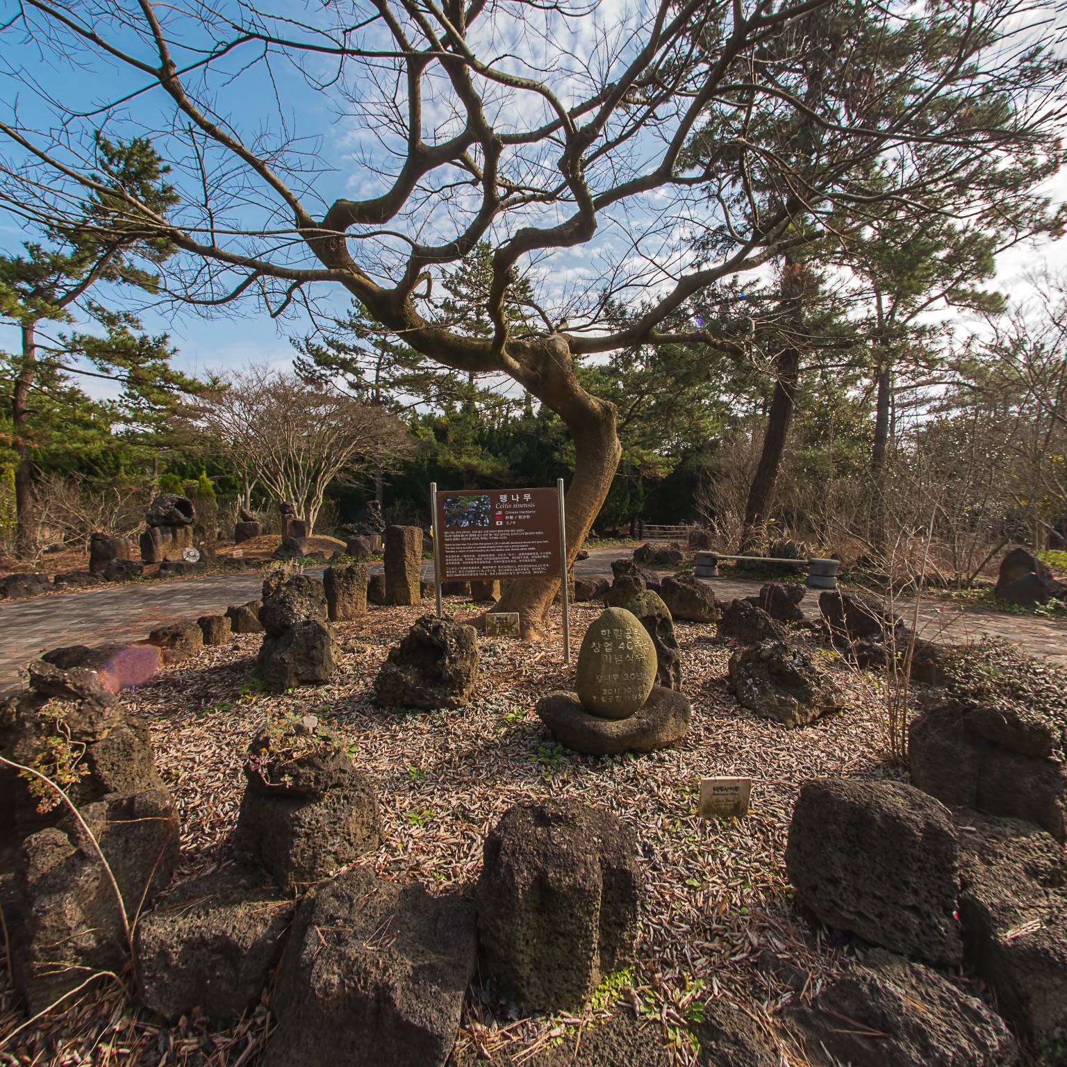 GROUND] 한림공원 산야초원 004