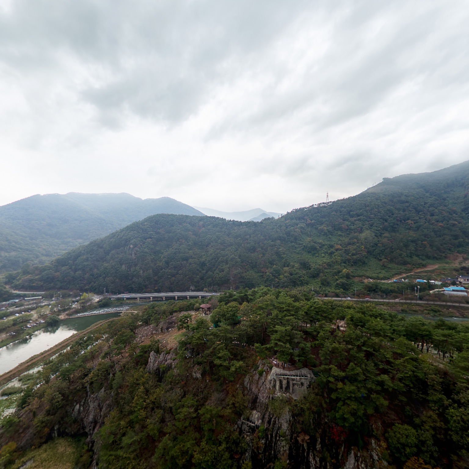 SKY] 구절초