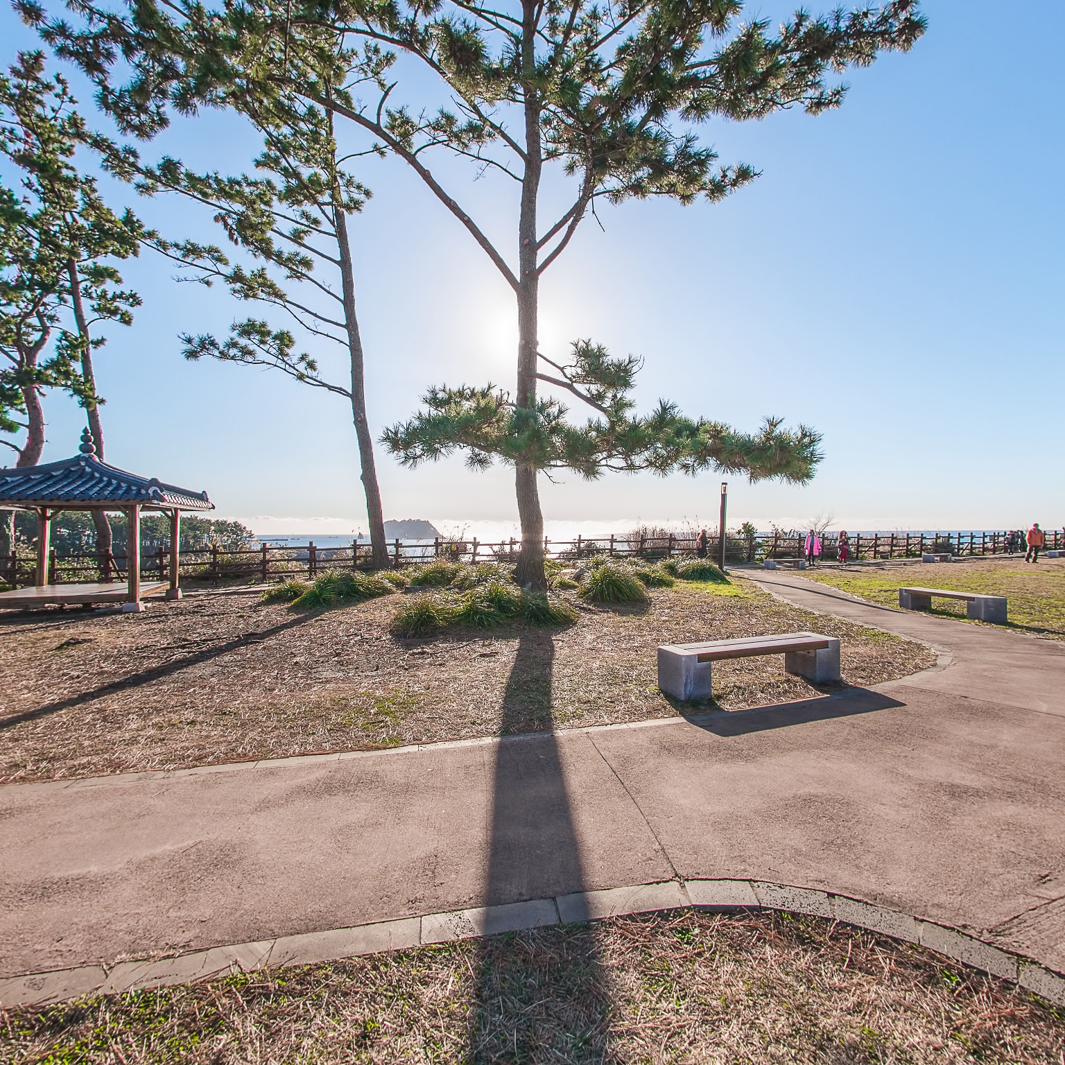GROUND] 외돌개 003
