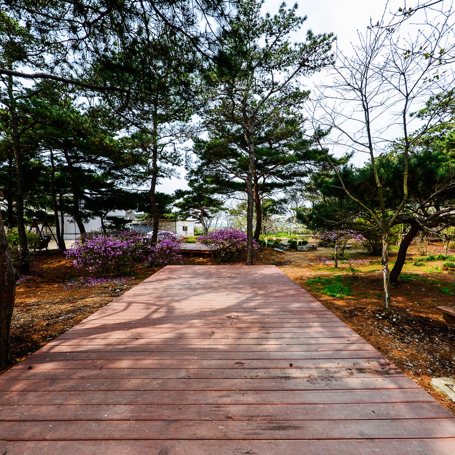 GROUND] 해솔길캠핑장 캠핑장1