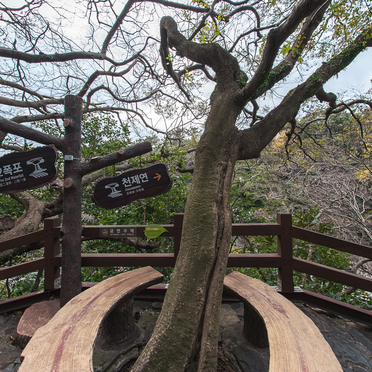 GROUND] 천제연폭포 교차로