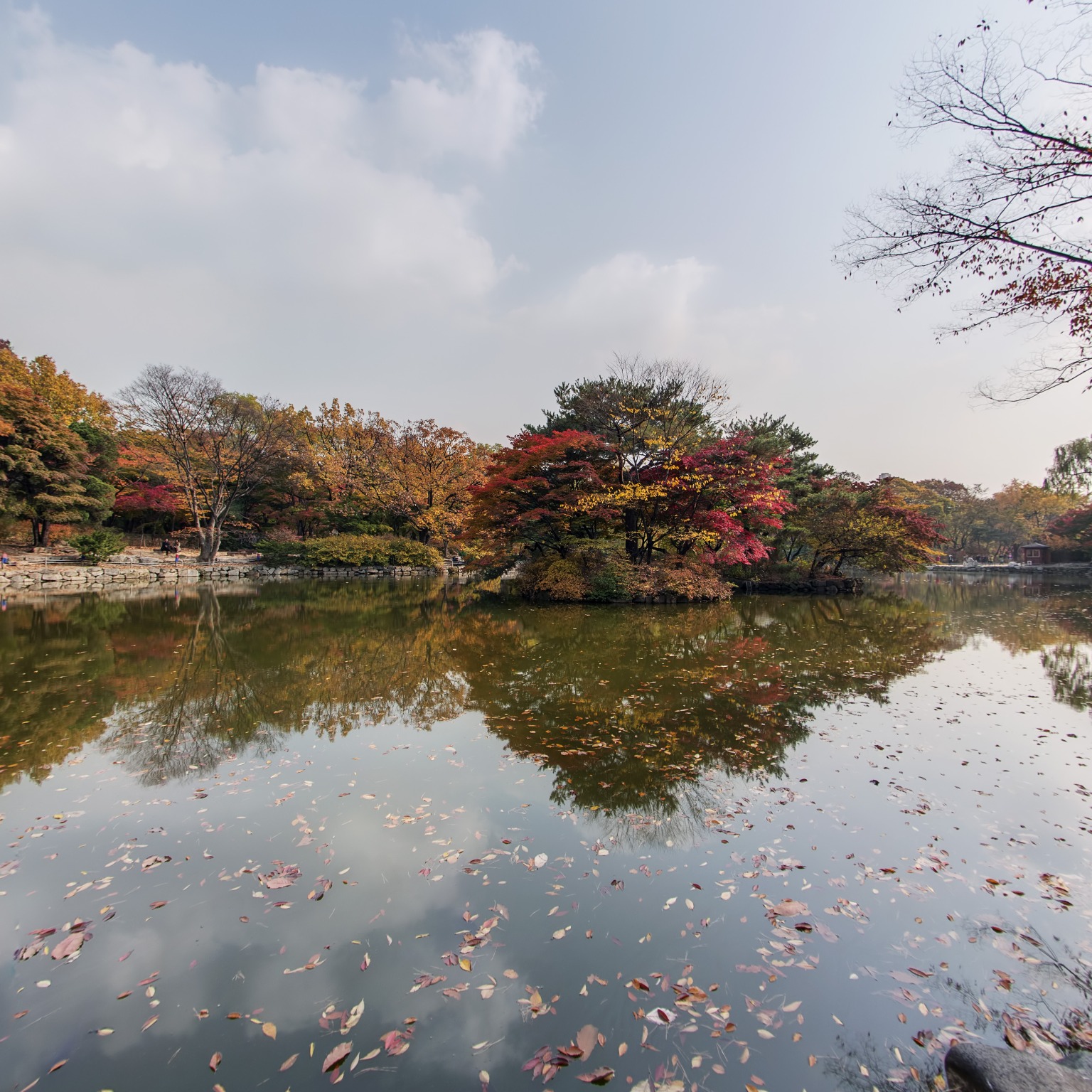 GROUND] 창경궁 춘당지 가을