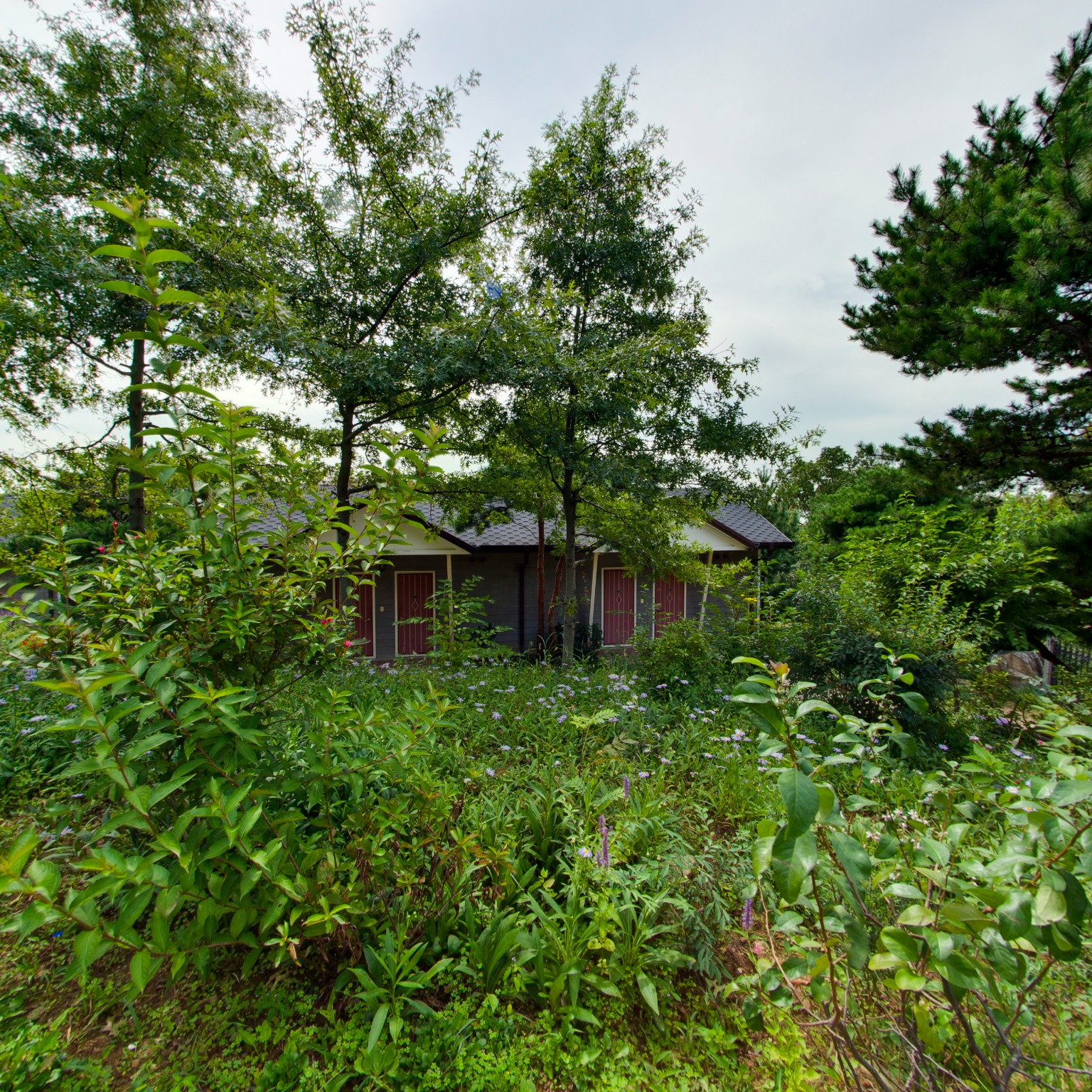 GROUND] 방주농원