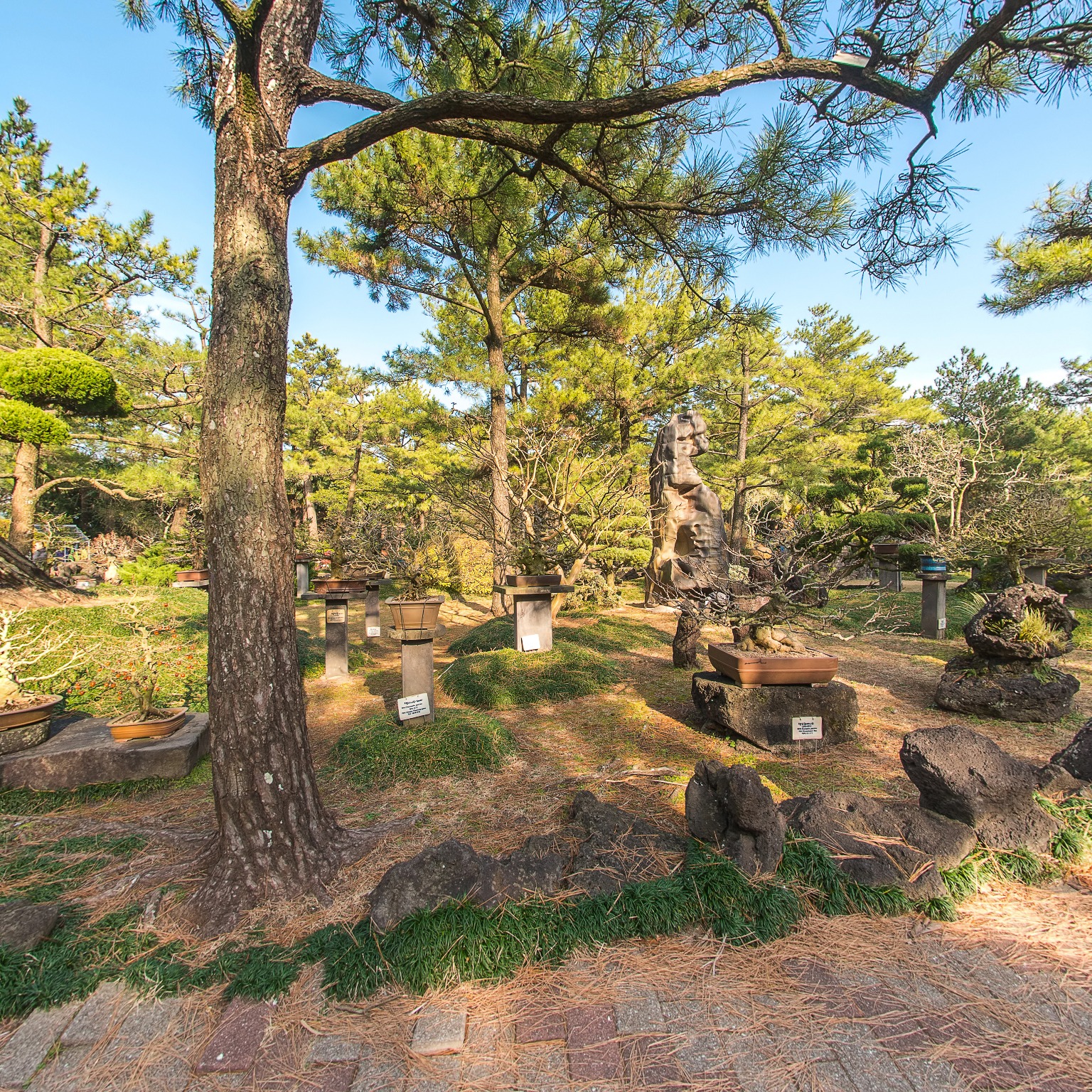 GROUND] 한림공원 석분재원 011