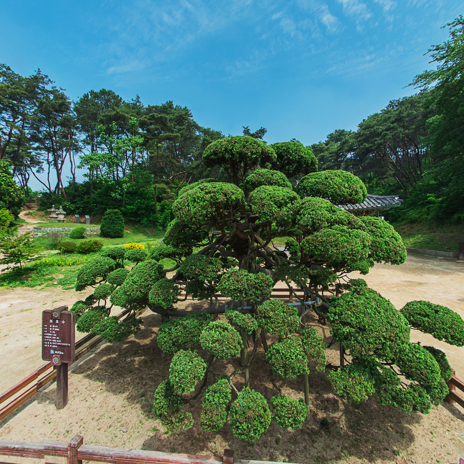 GROUND] 신륵사 팔각원당형석조부도