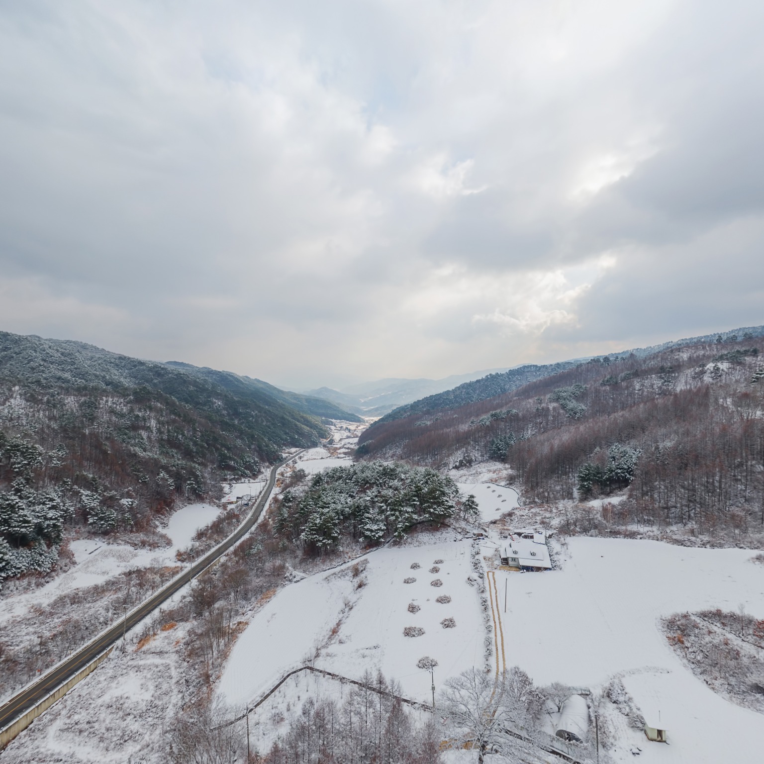 SKY] 자작나무숲입구