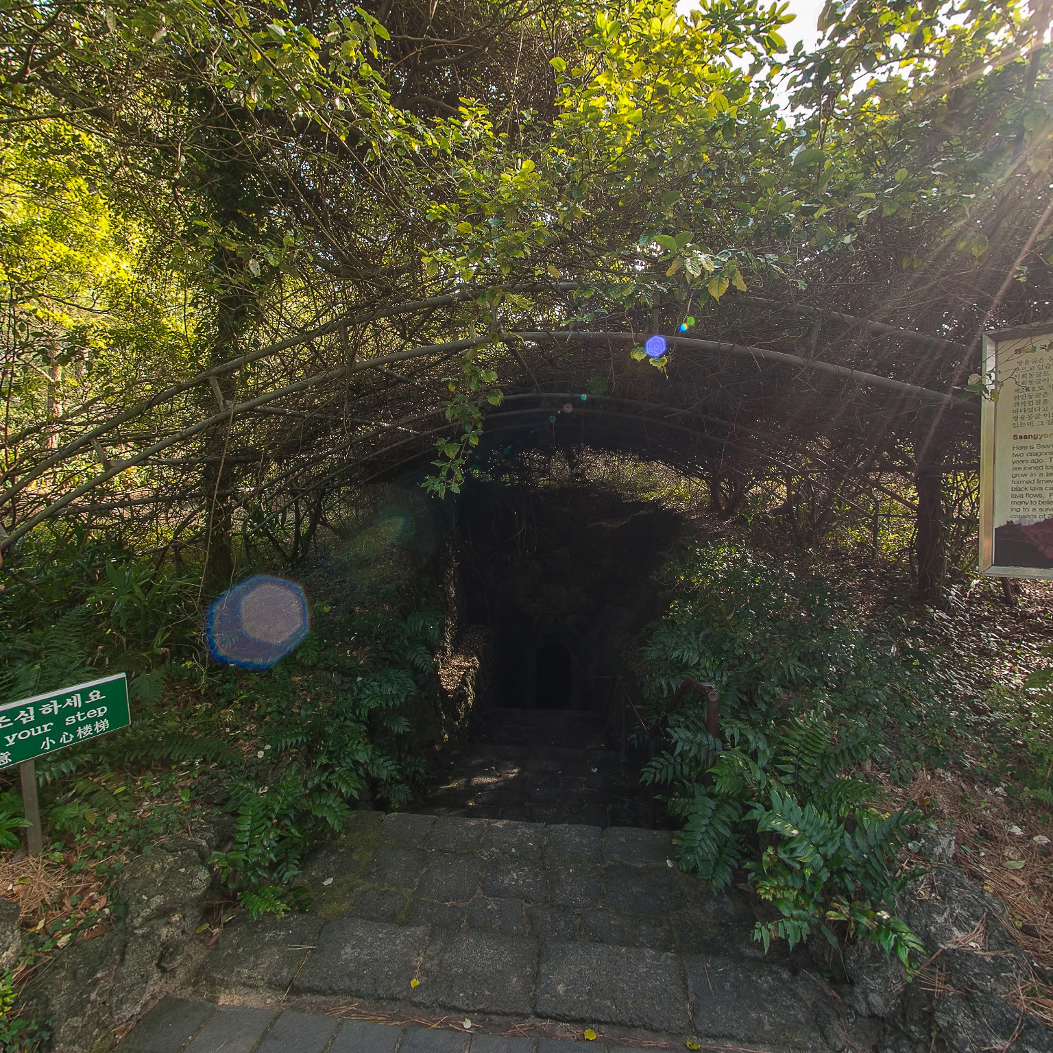 GROUND] 협재굴 쌍용굴 황금굴 009