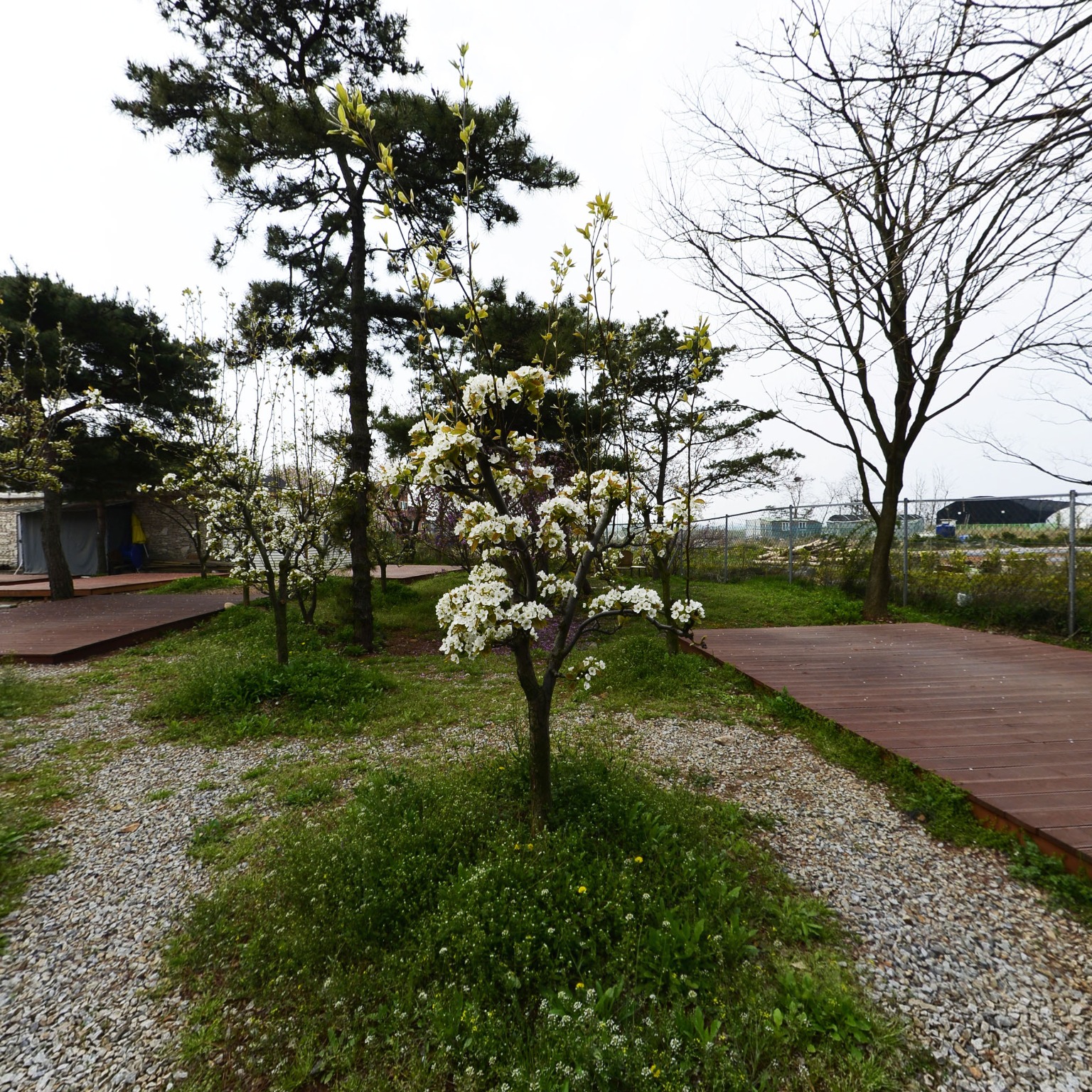 GROUND] 해솔길캠핑장 캠핑장2