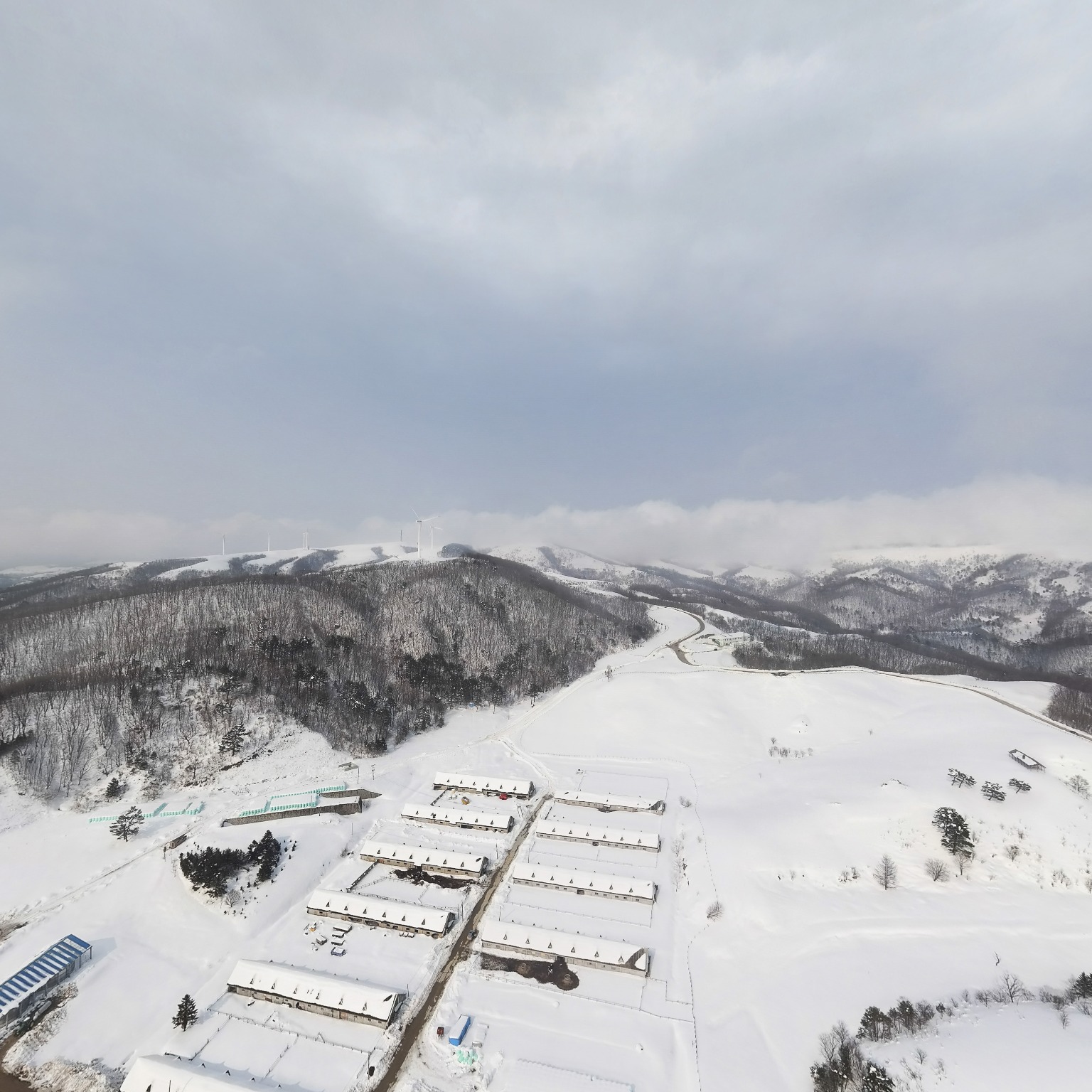 SKY] 대관령목장02