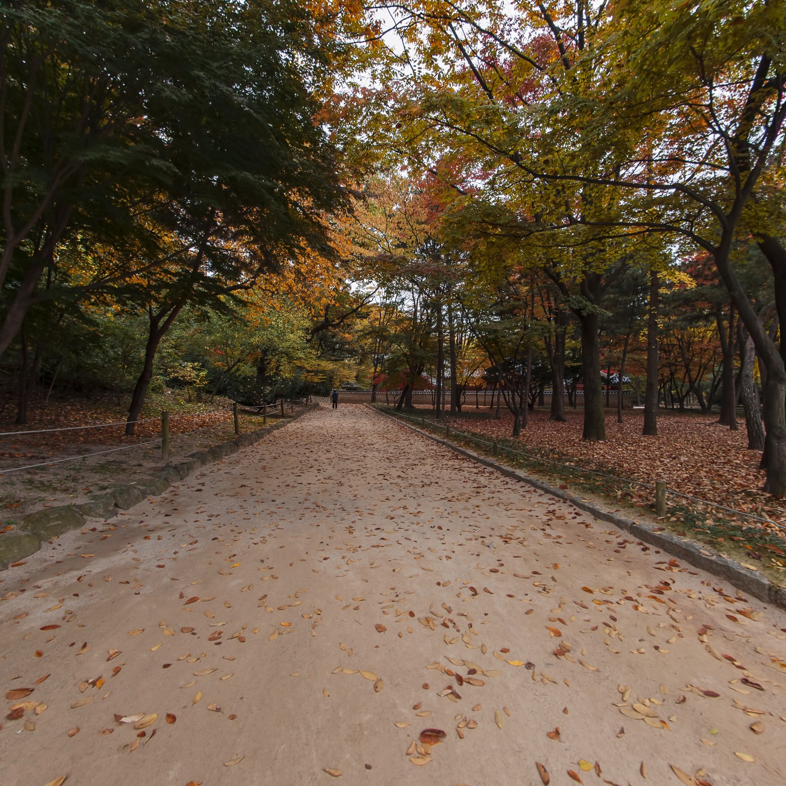 GROUND] 청사장 가는길 2