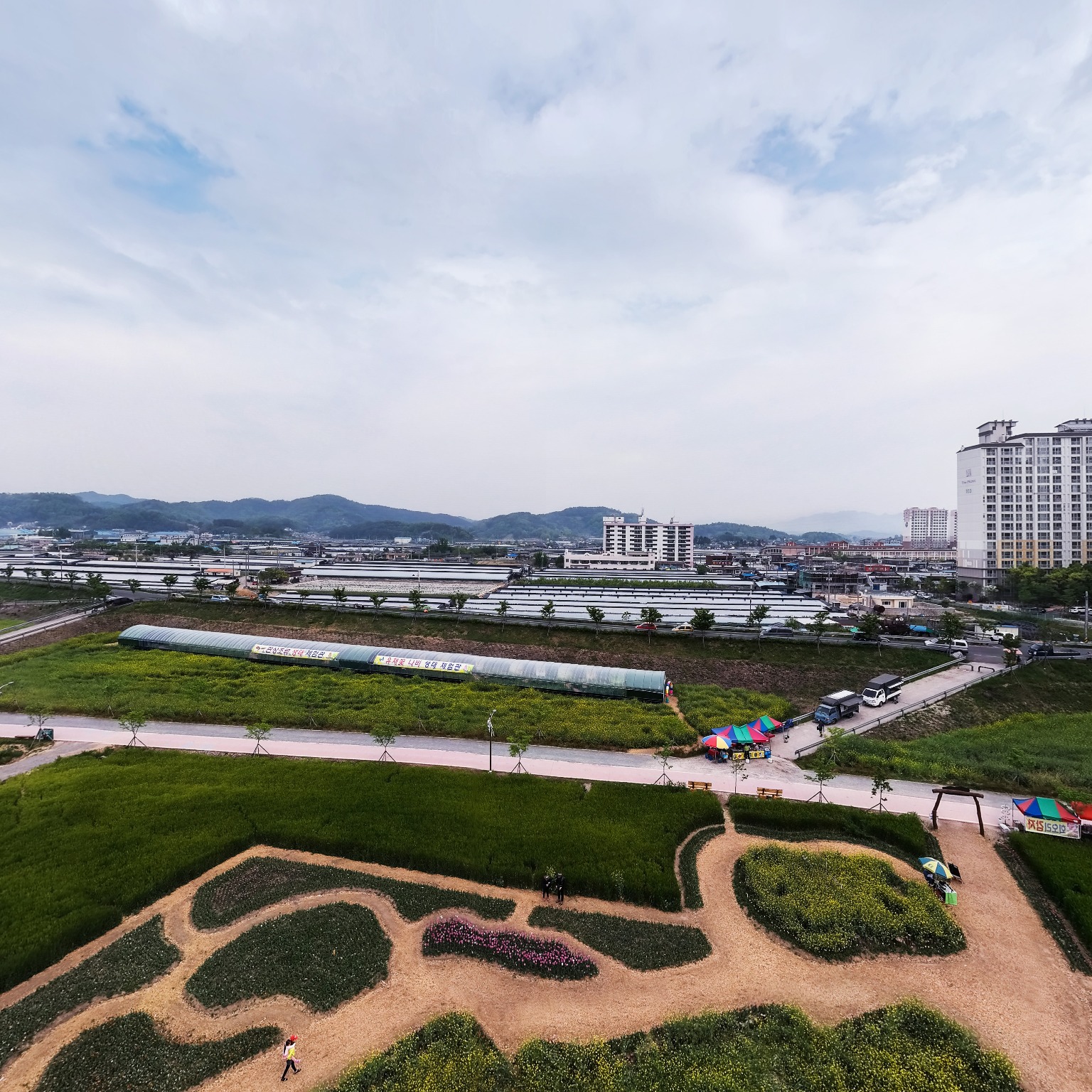 SKY] 남지유채