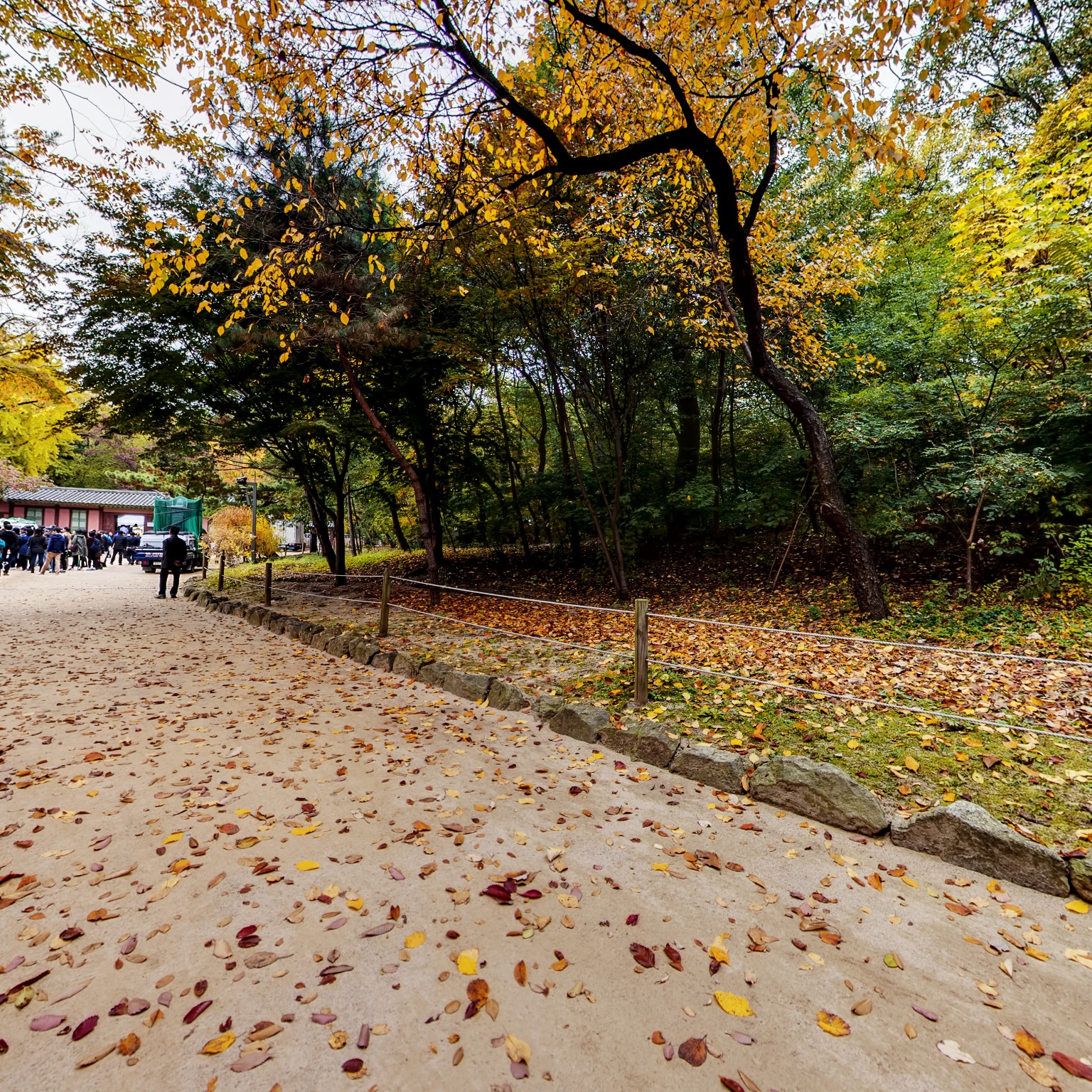 GROUND] 종묘 숲길