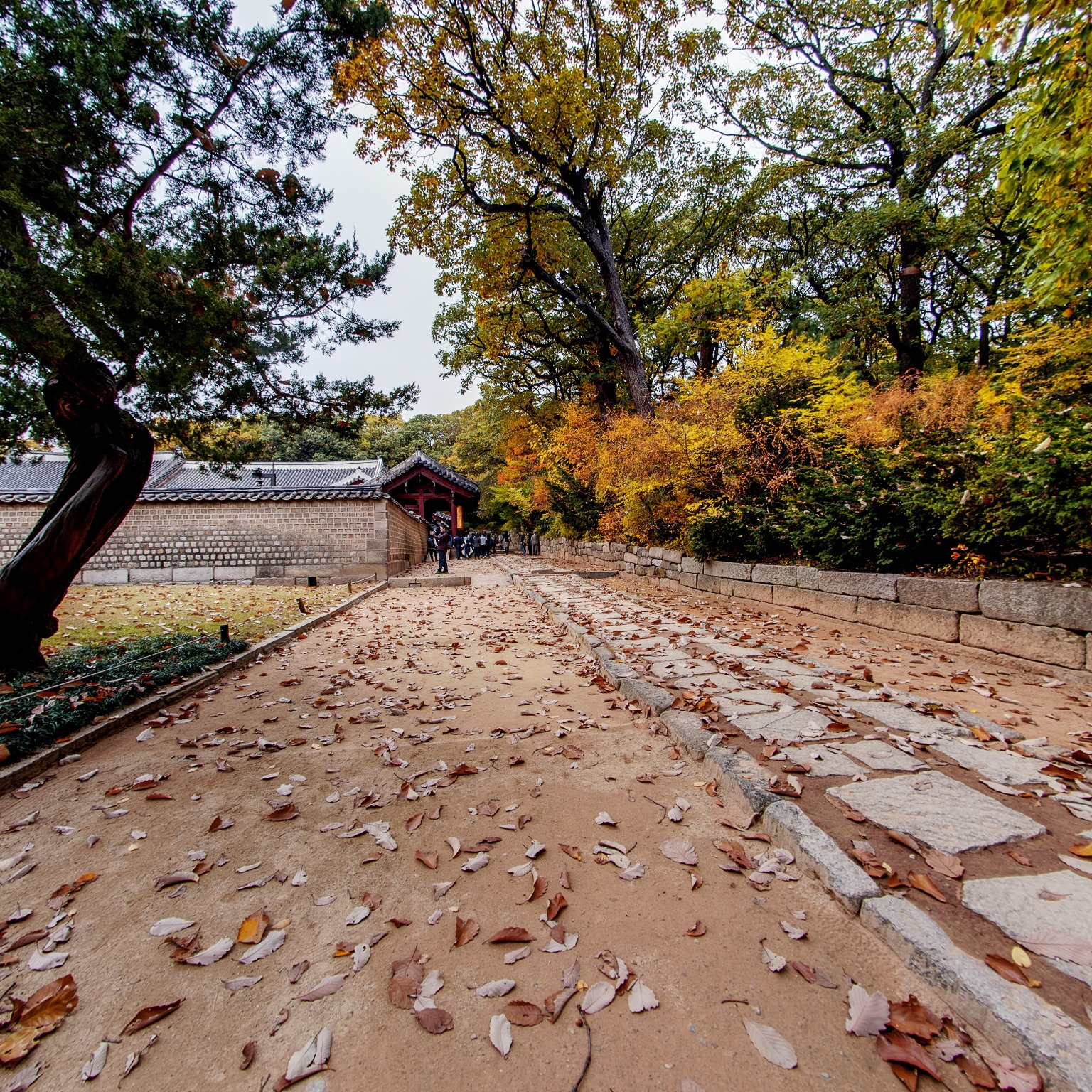 GROUND] 종묘 영녕전 삼거리