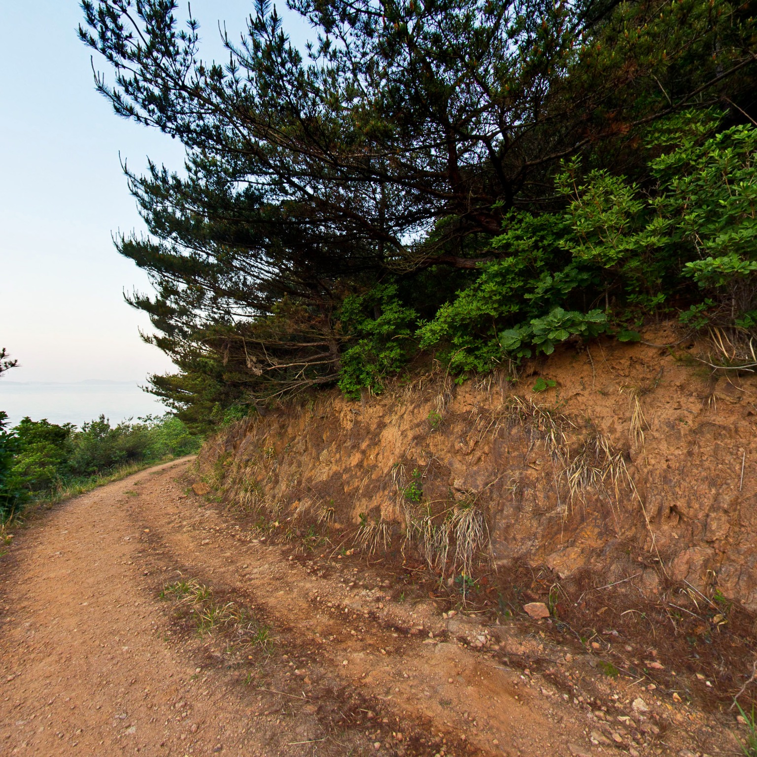 GROUND] 석모도 오솔길